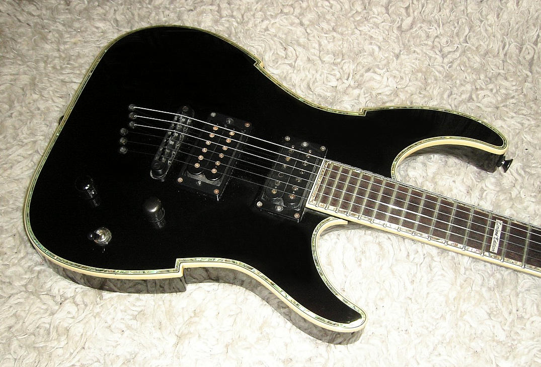 peavey-exp-vtype - Details